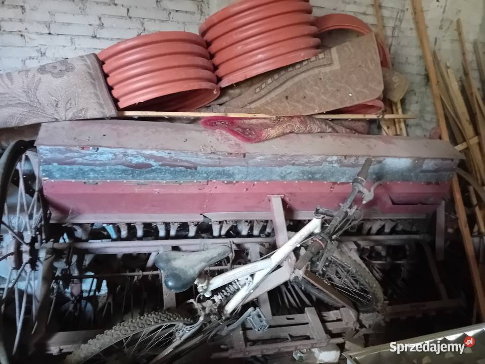 Siewnik konny półtorak lubelskie Uchanie