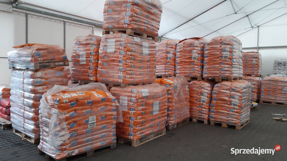 Kukurydza Aldo opak 50 000 nasion KWS Ujazd