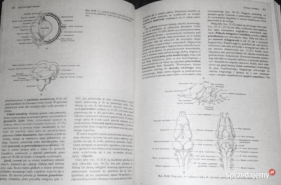 Biologia Claude A Villee Chełm sprzedam