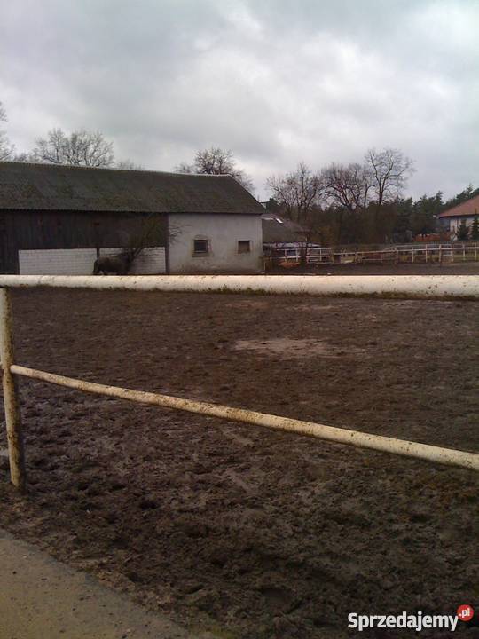 Sprzedam działkę w Józefowie koło Legionowa sprzedam