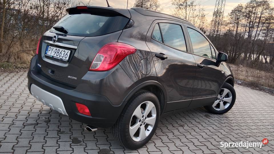 Pełen Carpass Zarejestrowany wspomaganie kierownicy Poznań