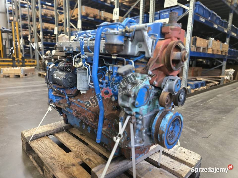 Silnik Ford 8240 Byków