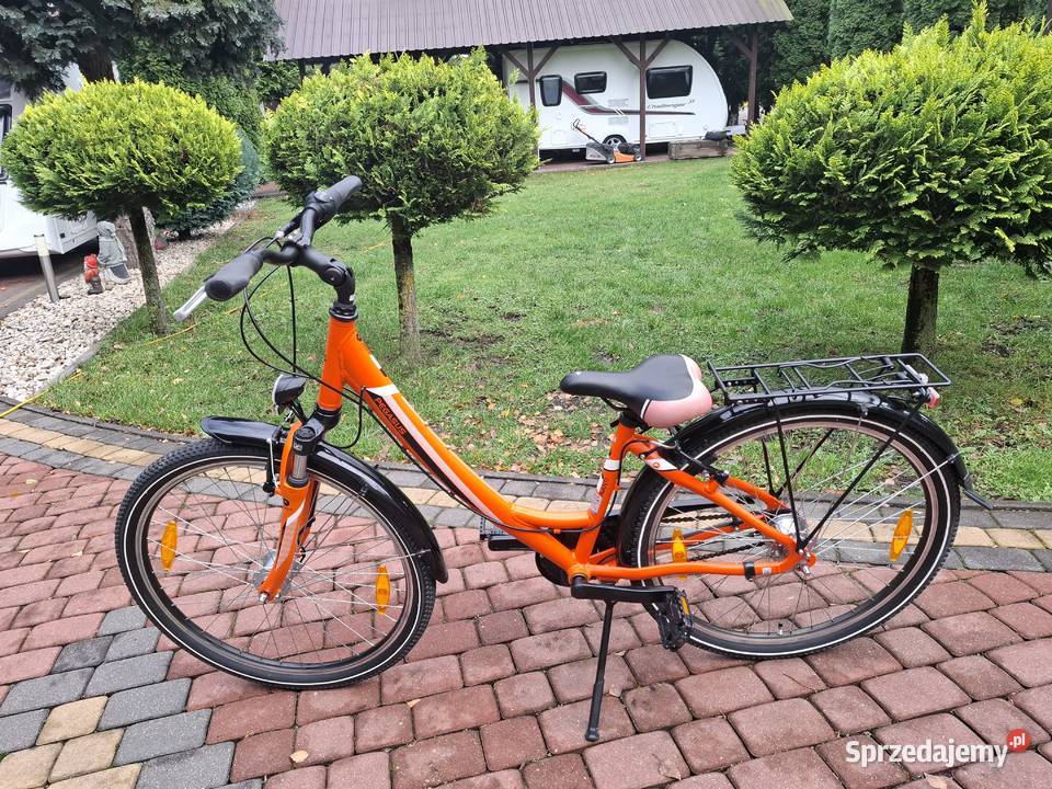Rower mlodziezowy Pegasus