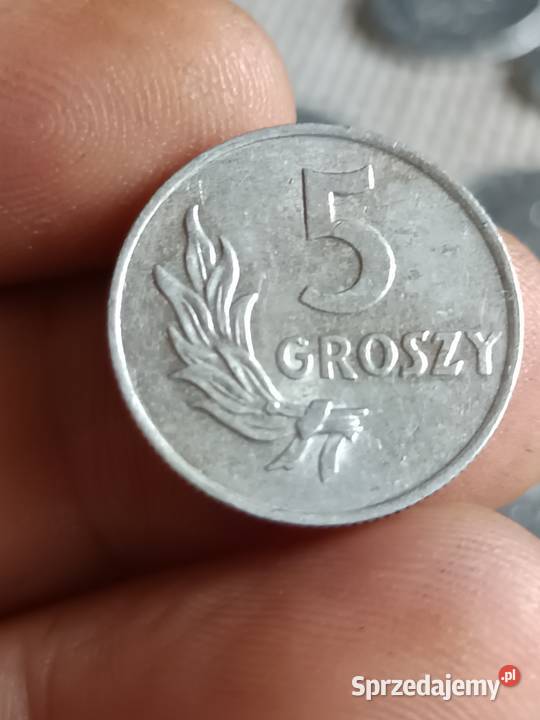 Sprzedam groszy 1949 jjjj Numizmatyka Chełm