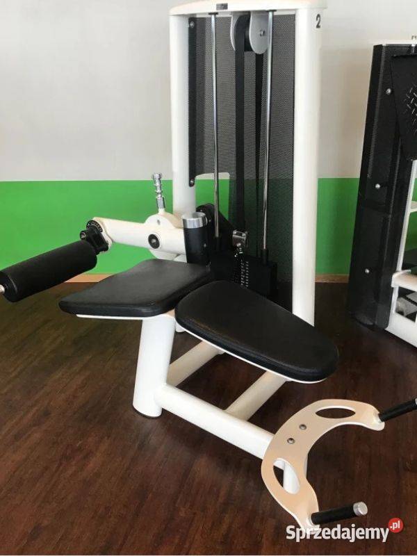 Zestaw 16 maszyn siłowych Gym 80 Wałcz