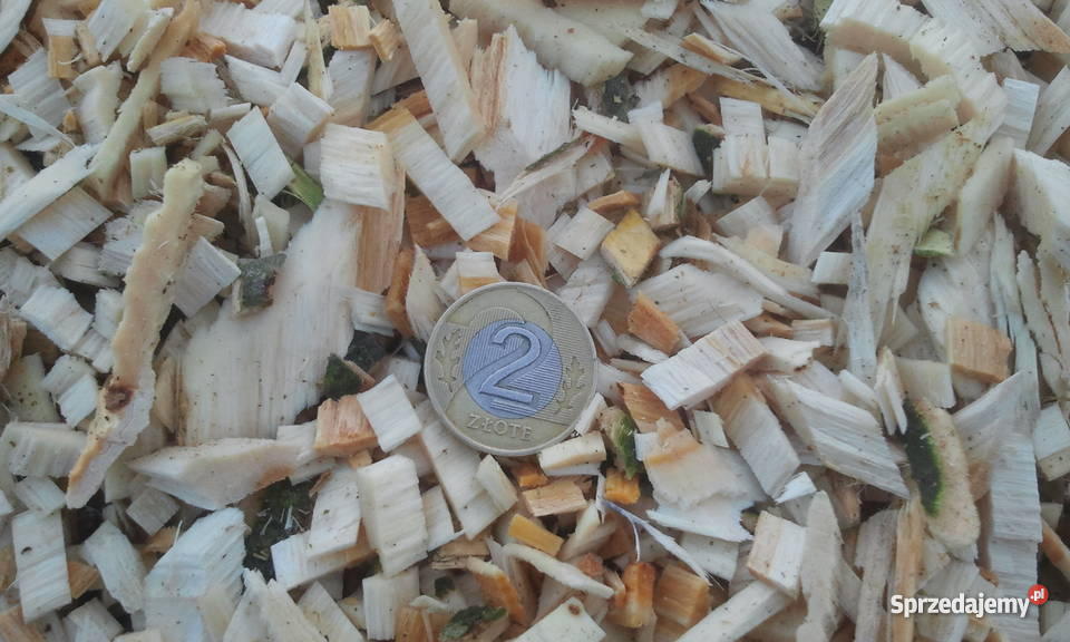 Zrębki drzewne tani opał najtańsze ciepło Drobin sprzedam