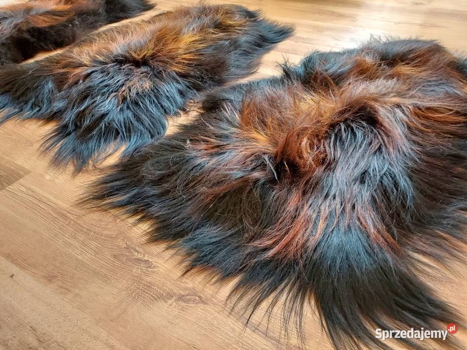 Skóra Owcza z Islandi Ognista Czerń XXXL Szaflary