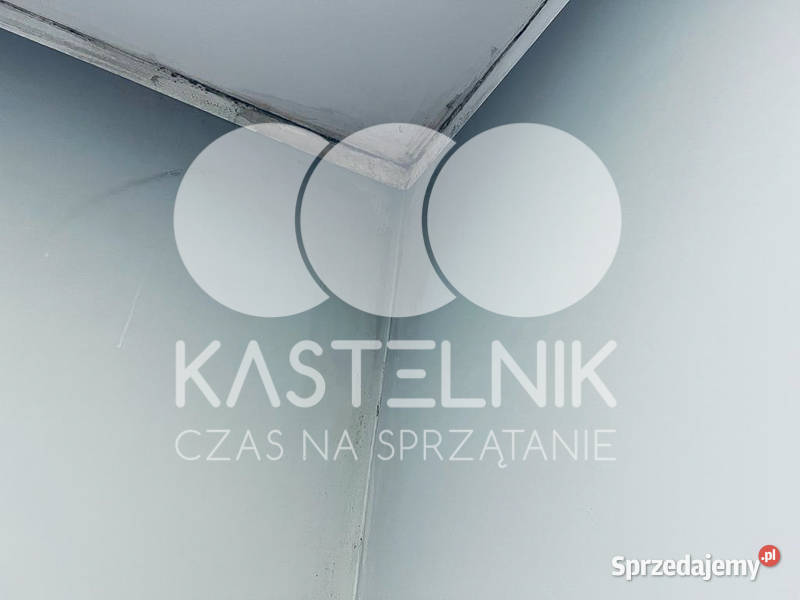 Odgrzybianie ścian Szprotawa Kastelnik Usuwanie