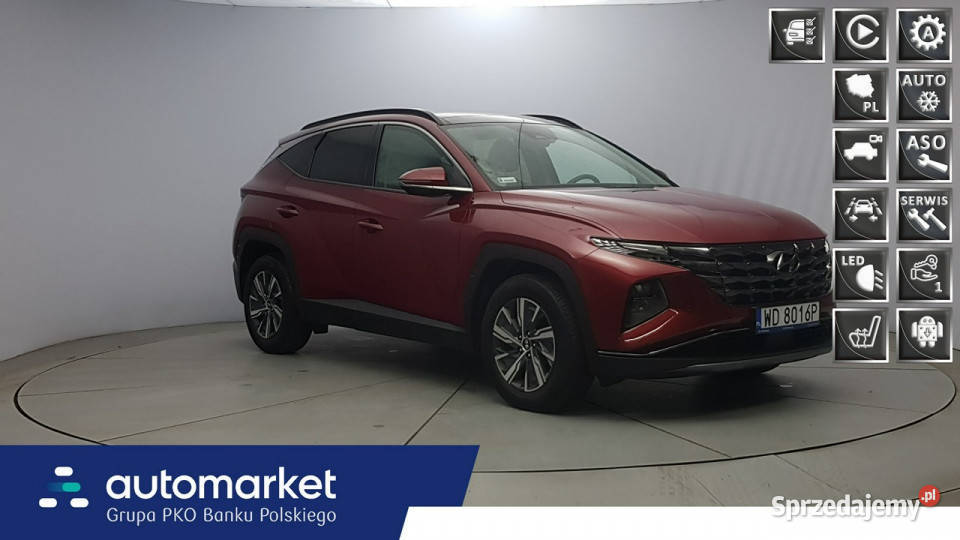 Hyundai Tucson 1.6 T-GDi HEV Executive 4WD ! Z Polskiego Salonu ! FV 23 ...