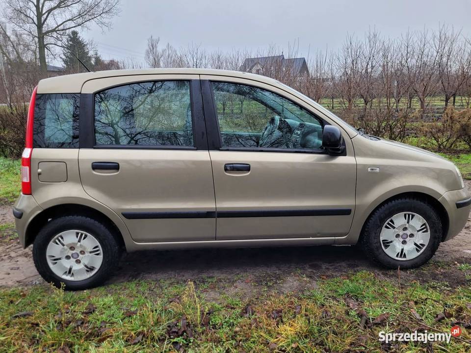 Fiat Panda 11 Fiat Głowno