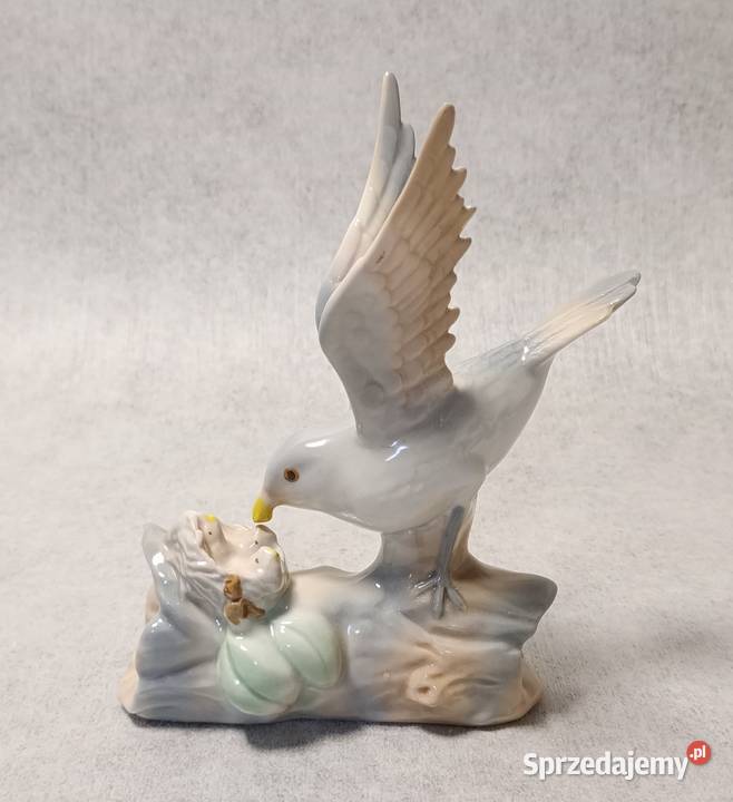 CASADES Ptak karmiący młode Powrót do gniazda Gdańsk