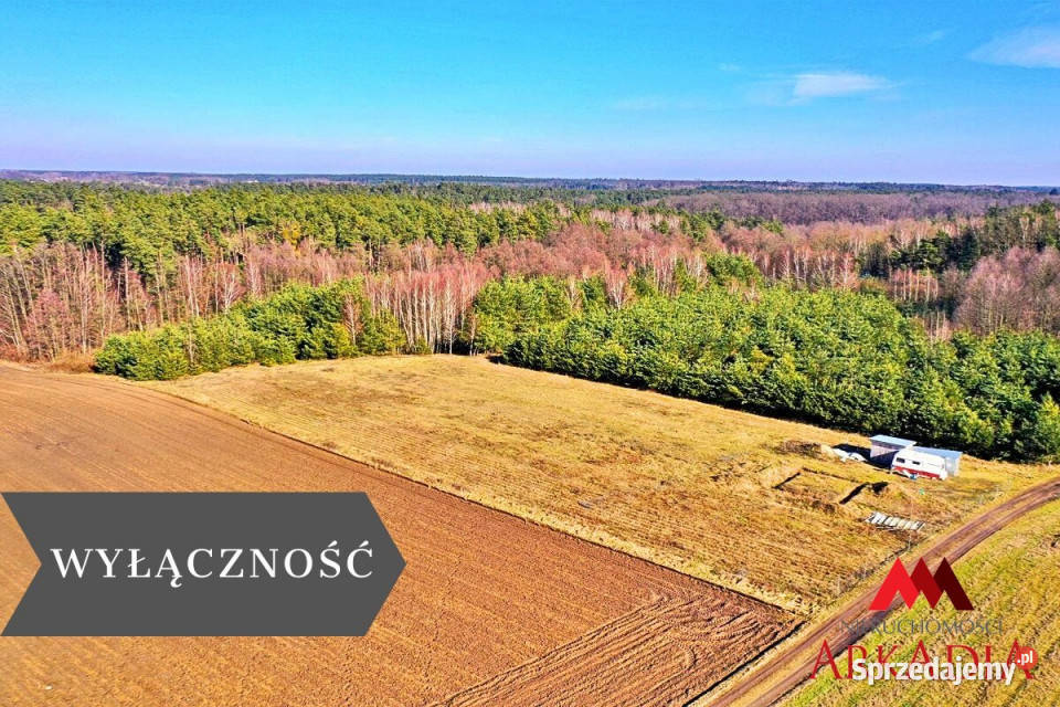 Ogłoszenie grunt 9180m2 Lipno