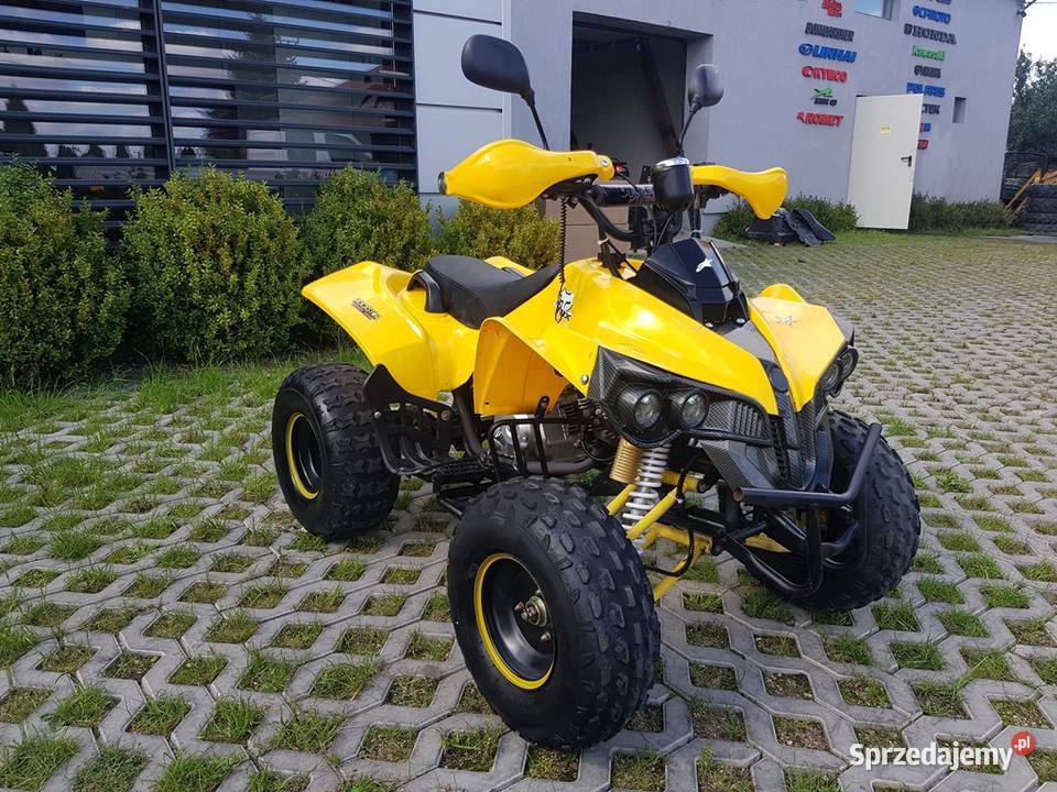 QUAD ATV 125 SUPER STAN SERWIS DOSTAWA 125cm3 Motoryzacja Kutno
