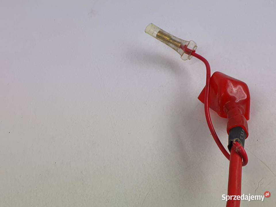 Przewod Kabel Plusowy Akumulatora Cpi Aragon