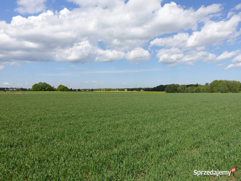 Skoczów Pruchna 115 ha z prawem zabudowy w samym