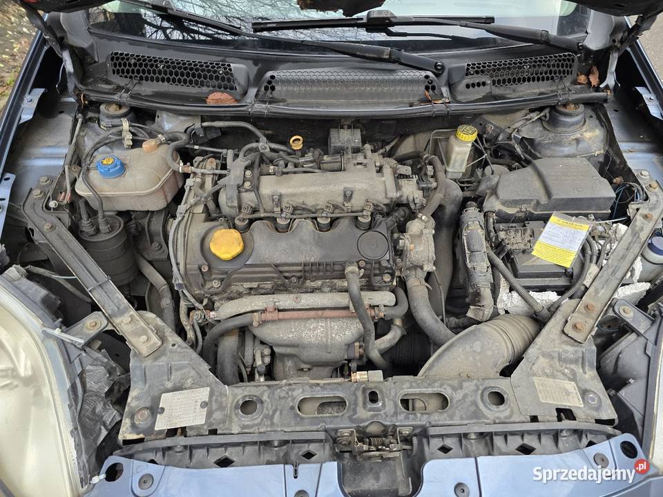 Ekonomiczny Fiat Bravo 19 jtd 120 koni kupiony w polskim salonie Orzech