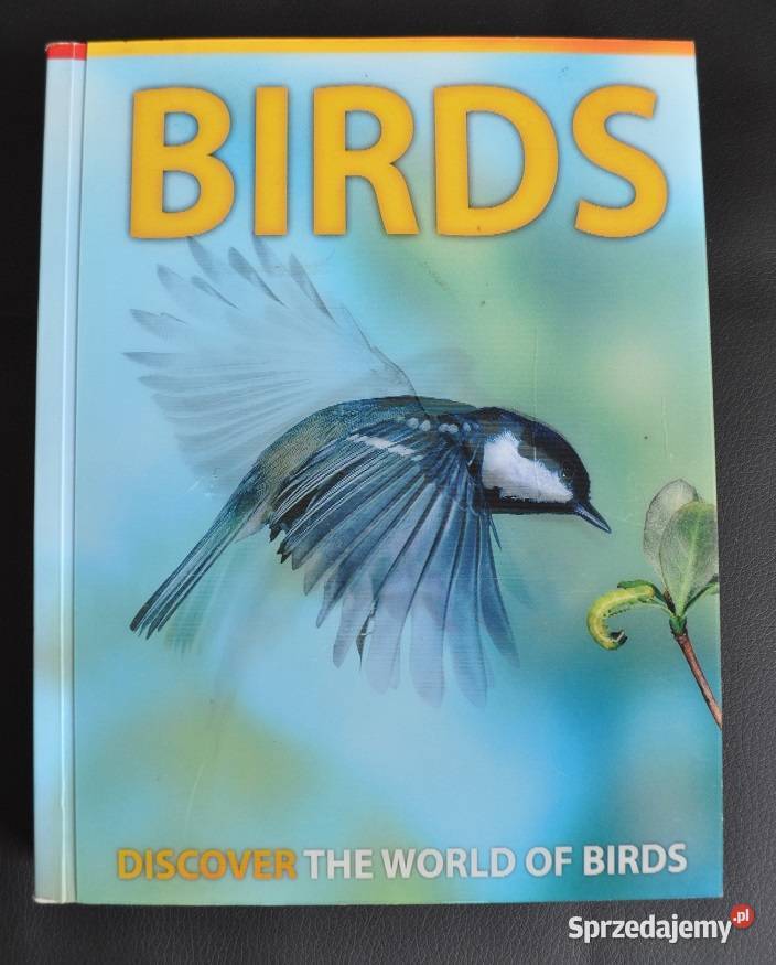 BIRDS discover the world of birds Jinny Johnson Rok wydania 2010 Warszawa