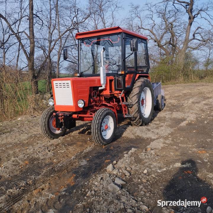 wladymirec t25 Żarów