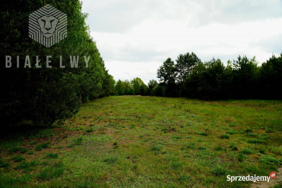 sprzedaży działki Nowe Borsuki 1200m2 Sprzedaż