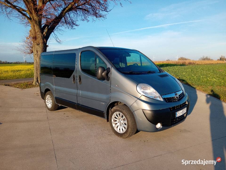 Vivaro 2010 9 osób trafic ładny kolor Budzyń