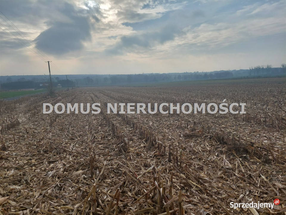 sprzedaży działki Tworzyjanki 1500m2 łódzkie