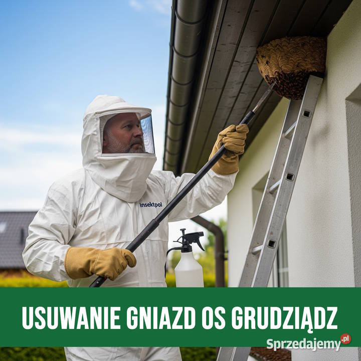 Zwalczanie Os Grudziądz Usuwanie Gniazd kujawsko-pomorskie