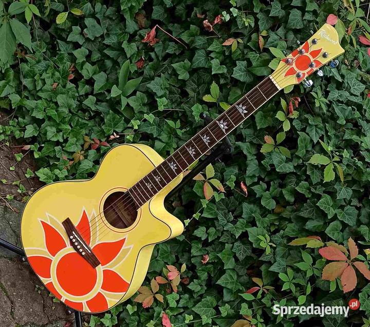 Gitara akustyczna Richwood RG15CYS Gitary i akcesoria łódzkie Tuszyn