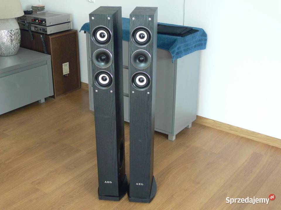 Niemieckie kolumny AEG 2 x 480 wat DOSTAWA sprzedam