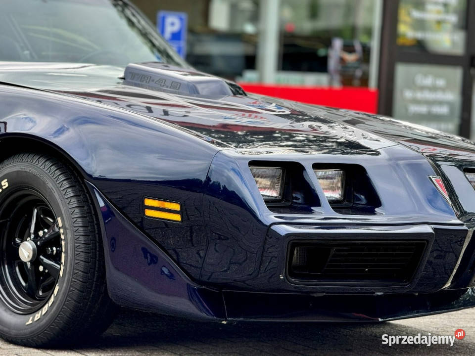 Pontiac Firebird Trans Am MIDNIGHT BLUE 1981 do 300KM Pontiac Sulechów