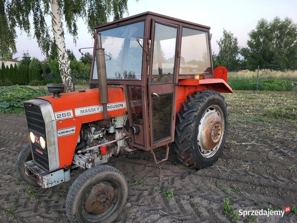 Mf255 1987 Miedniewice