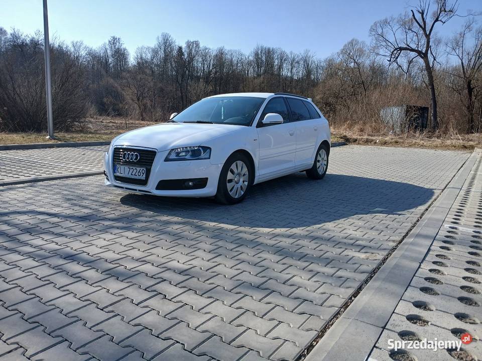 Audi a3 8p 20tdi 2000cm3 Limanowa