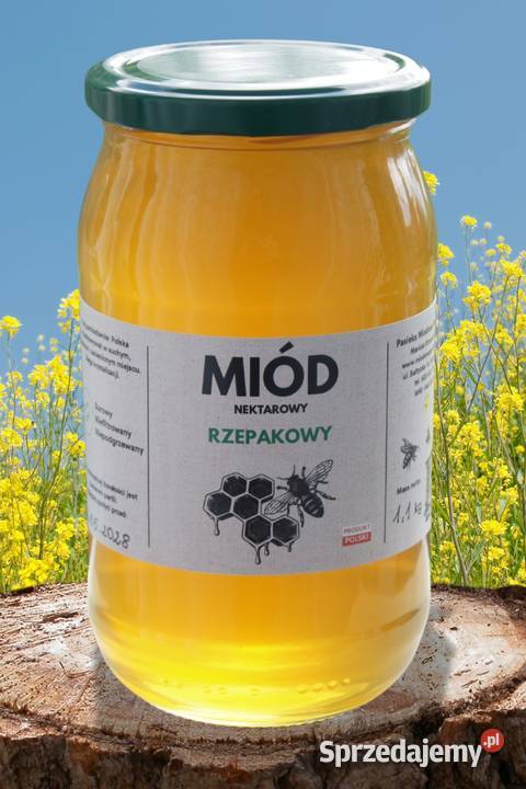 Miód rzepakowy 2025 RAW 11 surowy naturalny z kujawsko-pomorskie Bydgoszcz