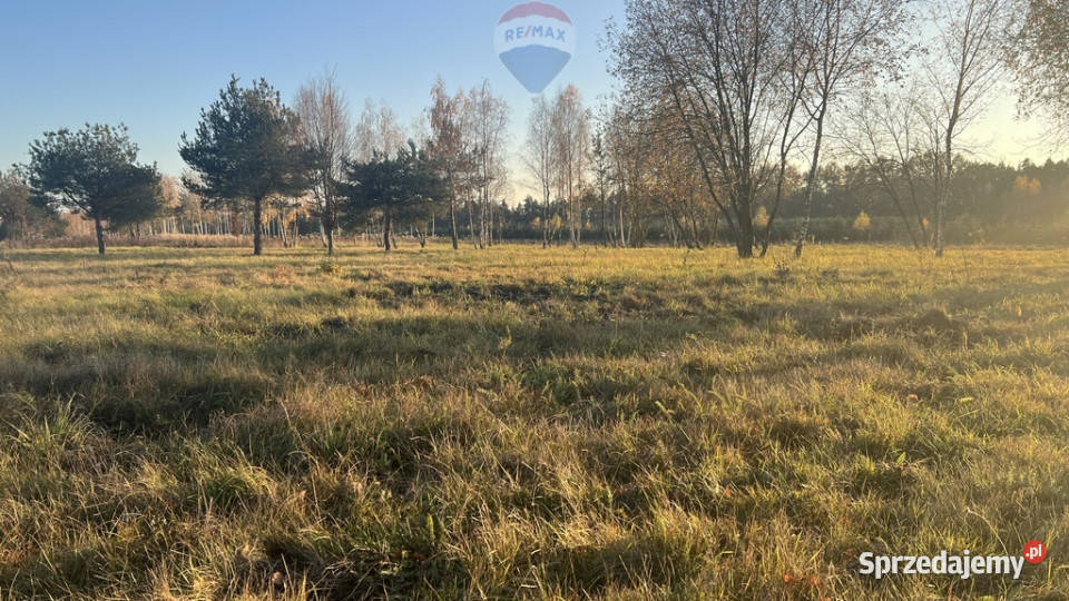 Działka budowlana 5920 Józefów gm Pniewy