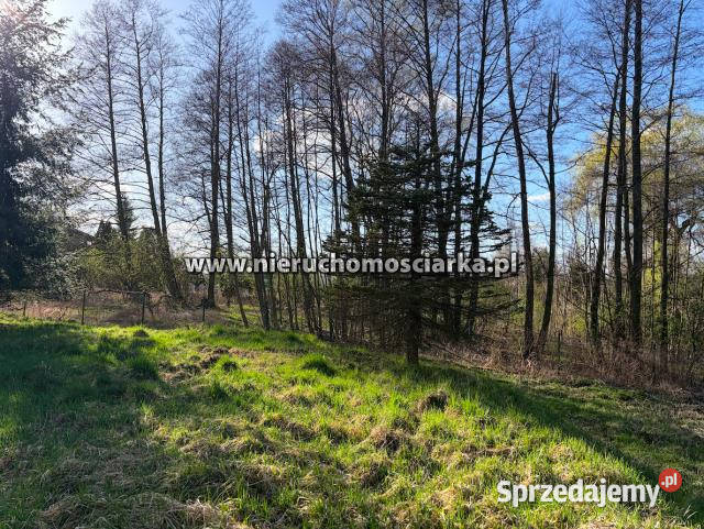 Działka 3750 metrów Wodzisław Śląski telefon śląskie