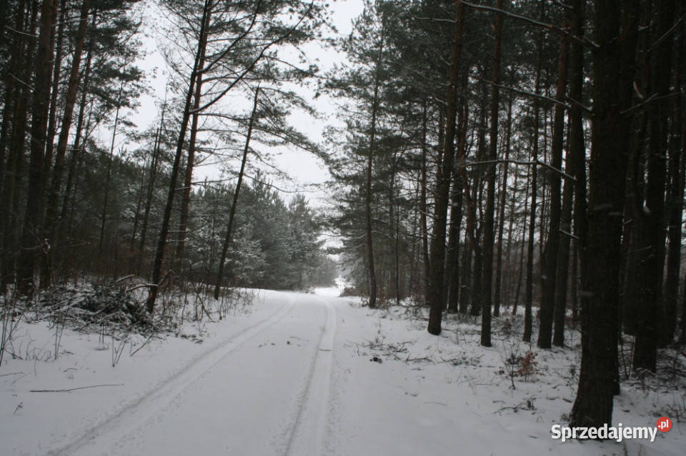 Działka 64 190 m Piaseczno Sprzedaż