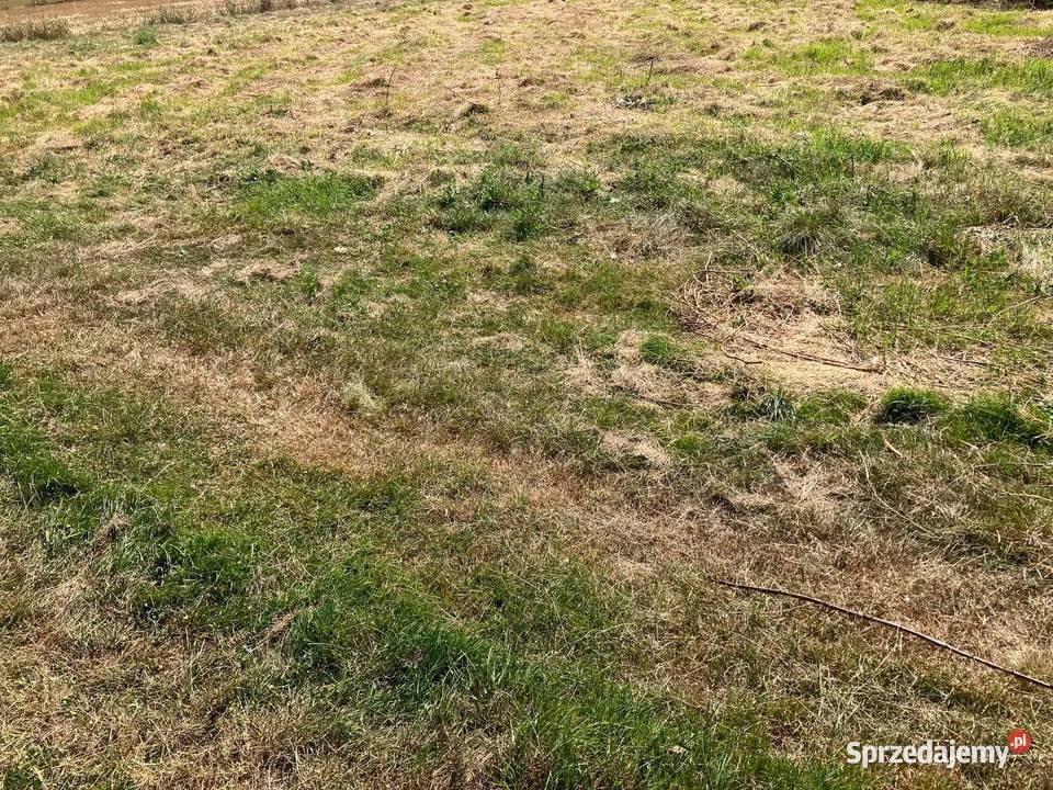 Działka Kobielice ok800m2 budowlana Pszczyna