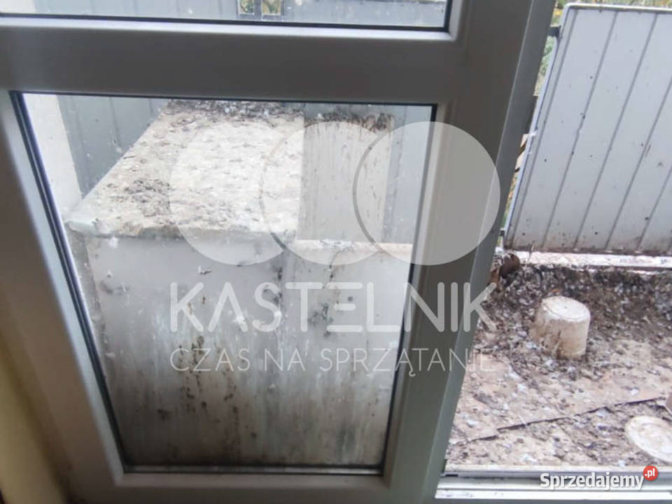 Sprzątanie gołębiach Świdnica Kastelnik mycie