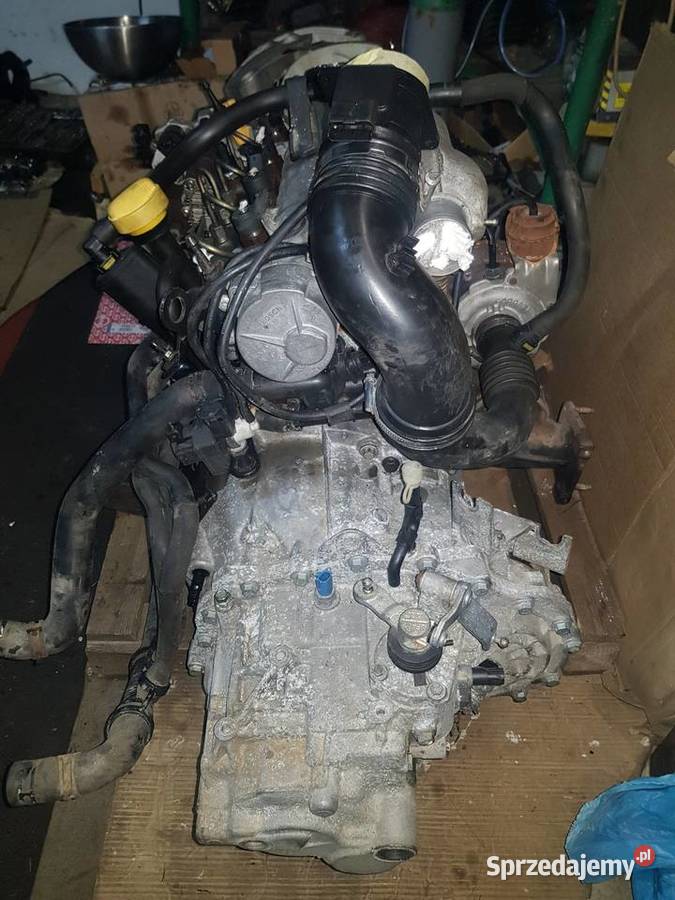 Silnik 19 dci megane swap Pabianice