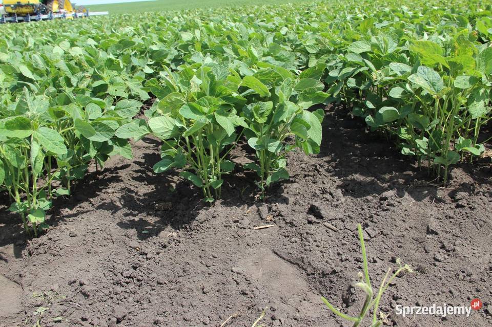 Siewnik wielofunkcyjny AGROKRAFT 7 opcji na 1 nieuszkodzony podkarpackie Kolonia Polska