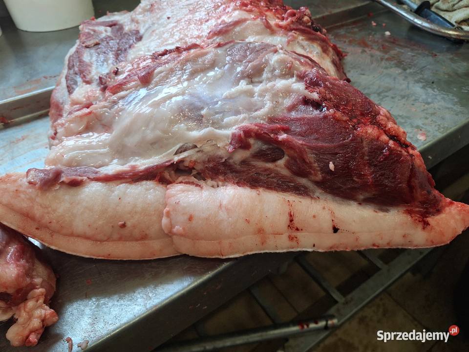 Słonina z Tucznika Warszew