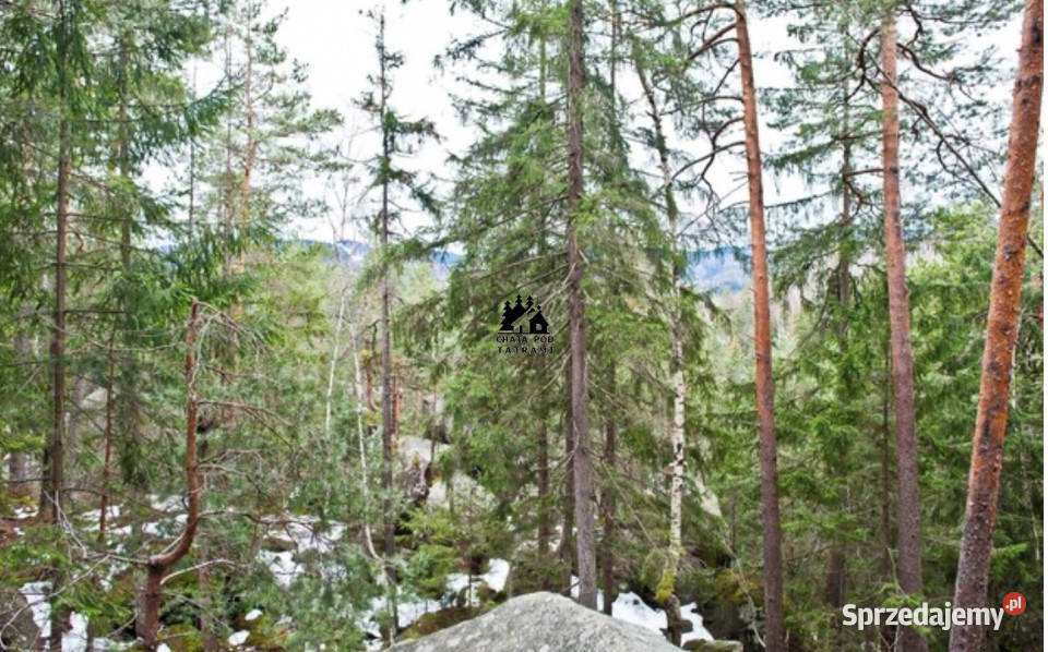 Grunt 1219m2 Kościelisko