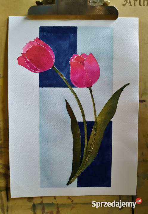 Akwarela Różowe tulipany
