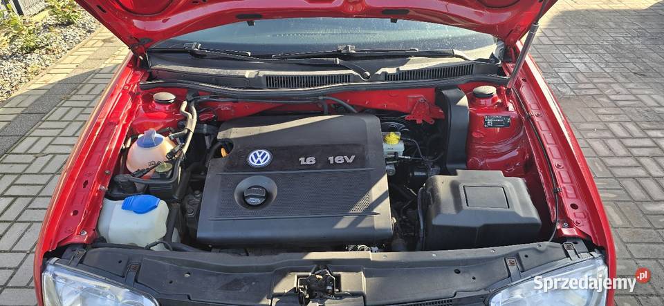 Piękna bora 1616 v z niemiec wersja Special 1560cm3 Gryfice