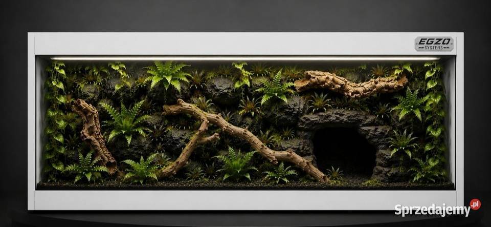 Terrarium hodowlane kameleona gekona orzęsionego Police sprzedam
