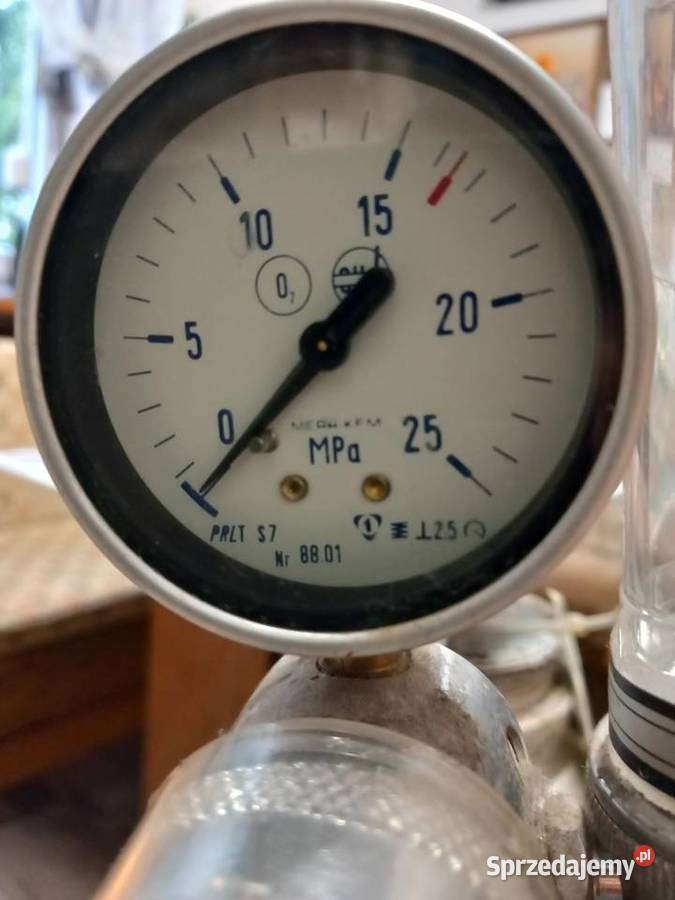 BUTLA NA TLEN MEDYCZNY Pozostałe lubuskie