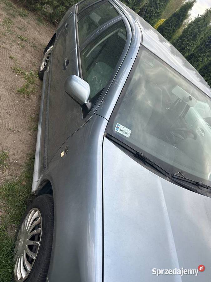 Fabia 14 moi Lubraniec