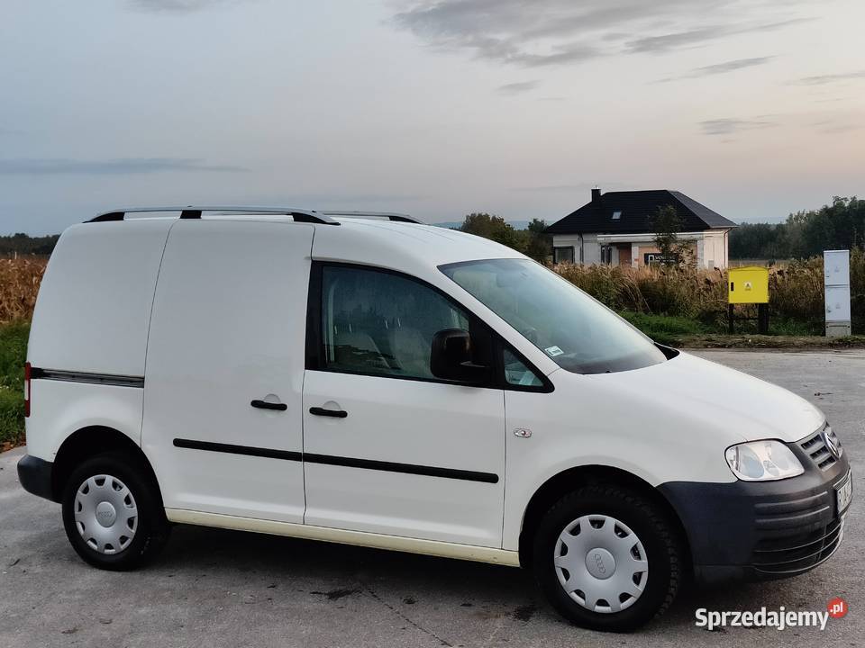 Ceddy Berlingopartner Stobierna