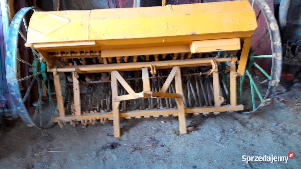 Siewnik polski Wola Komborska