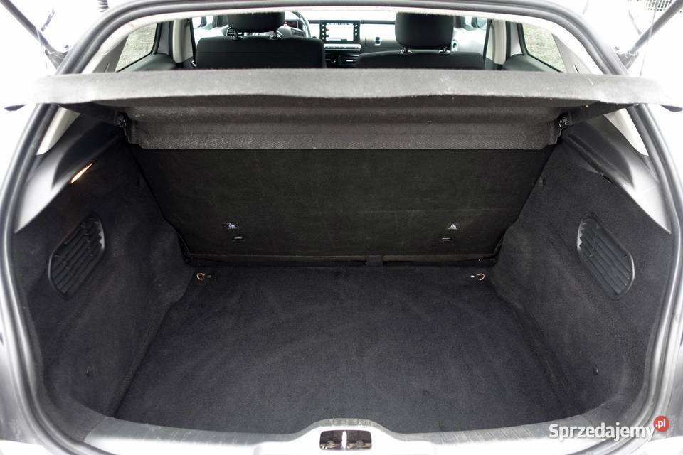 Citroen C4 Cactus 12 110 Bezwypadkowy Zero Buczkowice