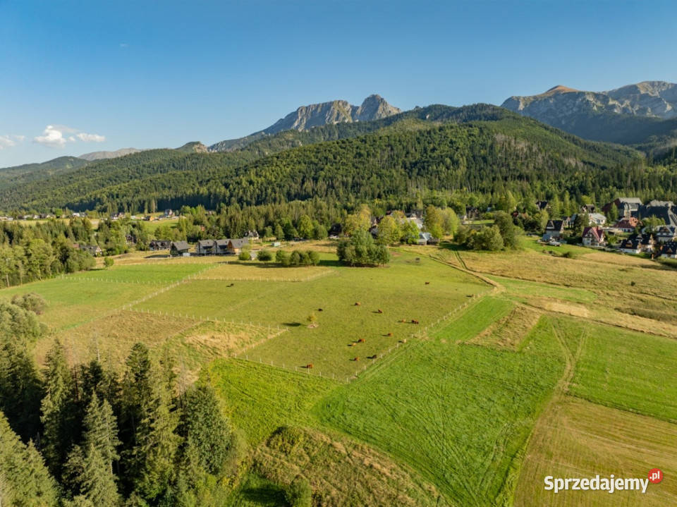 Działka rolna 3115 m Kościelisko Sprzedaż